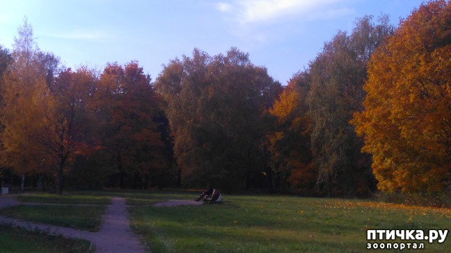 ���� 4: ������� ������ � ����� � �������.)))