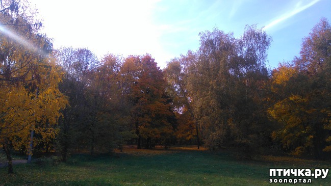 ���� 5: ������� ������ � ����� � �������.)))