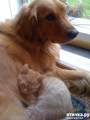 ����: ��������� ������-2