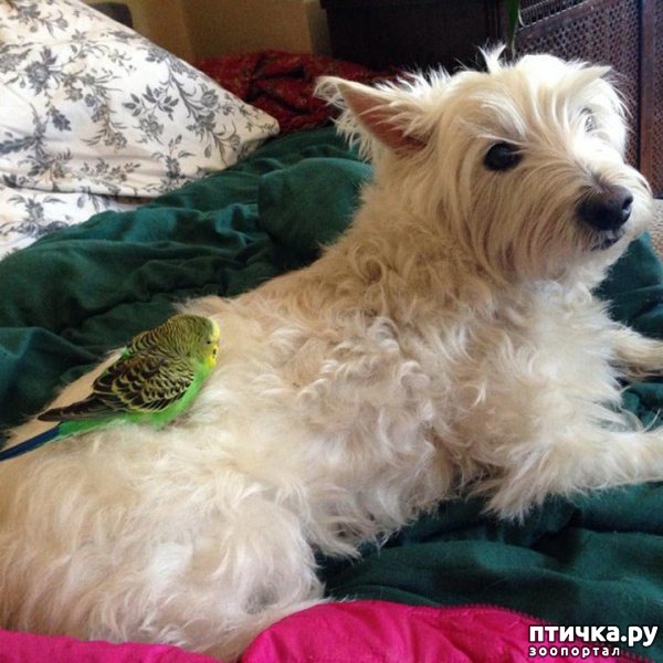 ���� 6: ��������� ������-2