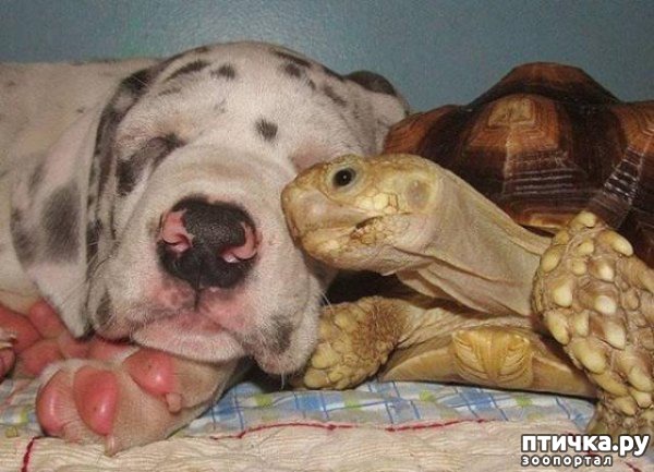 ���� 9: ��������� ������-2