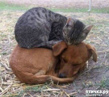 ���� 11: ��������� ������-2