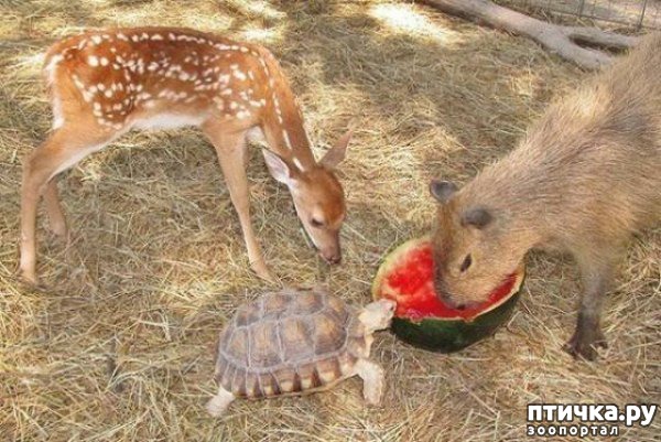 ���� 13: ��������� ������-2