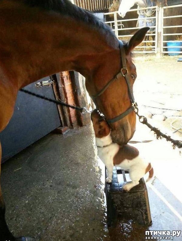 ���� 15: ��������� ������-2