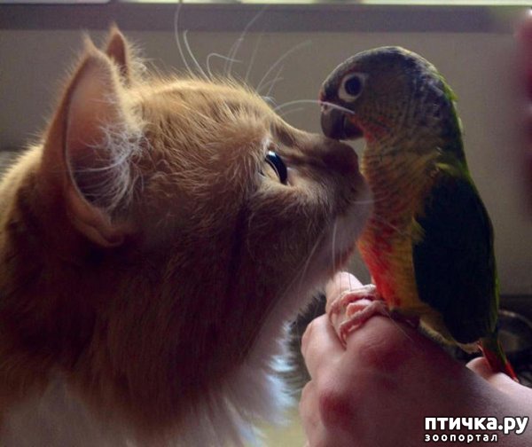 ���� 18: ��������� ������-2