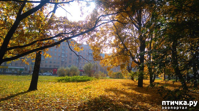 ���� 6: ������� ������ � ����� � �������.)))