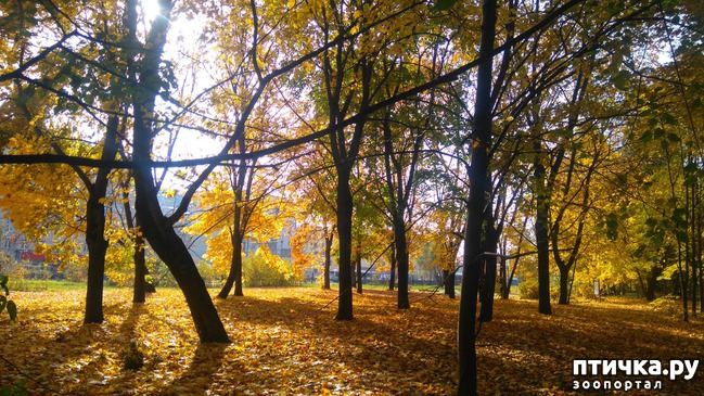 ���� 7: ������� ������ � ����� � �������.)))