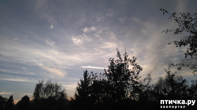 ���� 8: ������� ������ � ����� � �������.)))