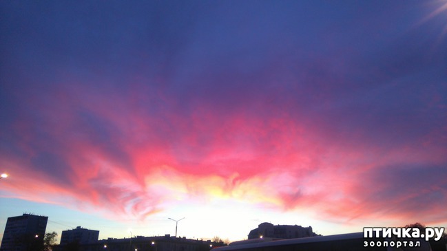 ���� 9: ������� ������ � ����� � �������.)))