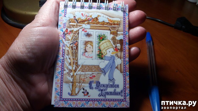 ���� 2: �������� �������