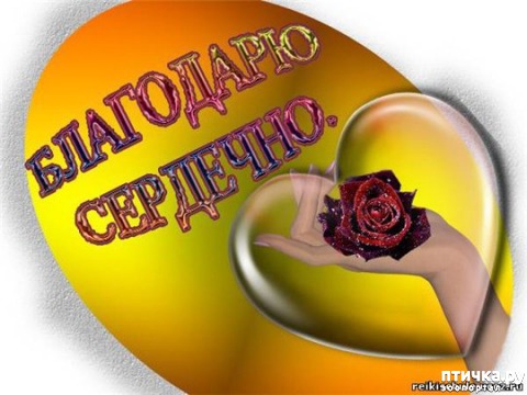 ���� 3: �������� �������