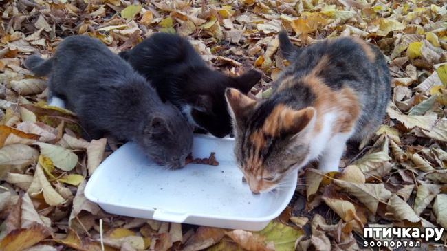 ���� 2: ������� � �������-�����������