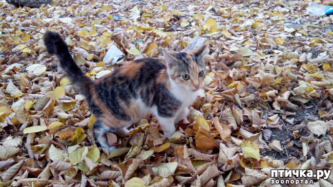 ���� 3: ������� � �������-�����������