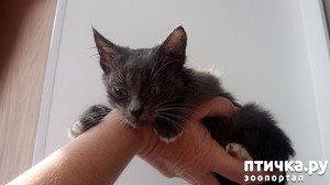 ����: ��������� ������� ���� ��������