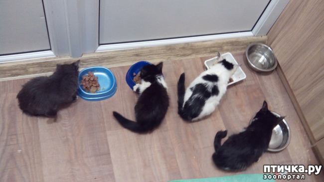 ���� 2: ��������� ������� ���� ��������