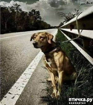 ����: �� ����� �٨ �� �����, ��� ��� �������...