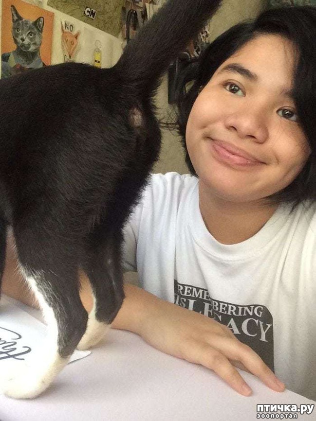 ���� 4: ������ ���� ����� ����������!