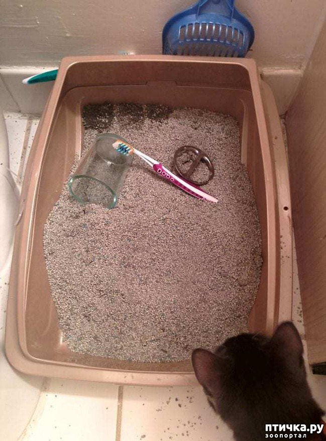 ���� 5: ������ ���� ����� ����������!