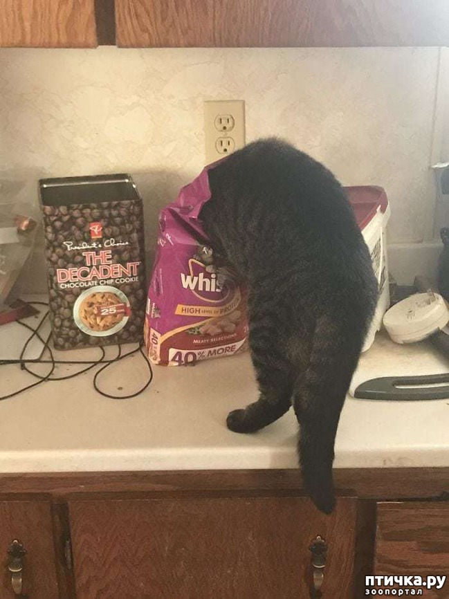 ���� 8: ������ ���� ����� ����������!