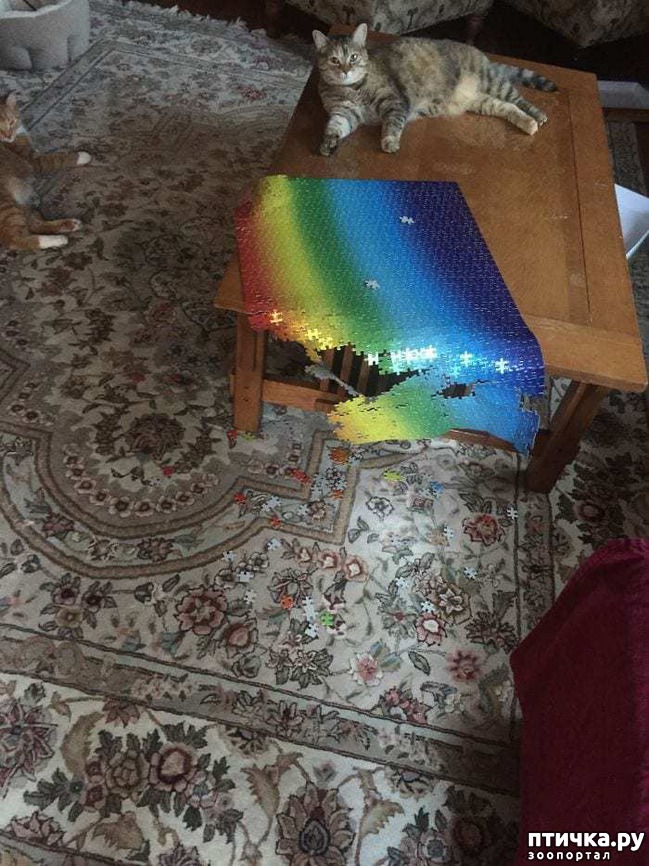 ���� 9: ������ ���� ����� ����������!