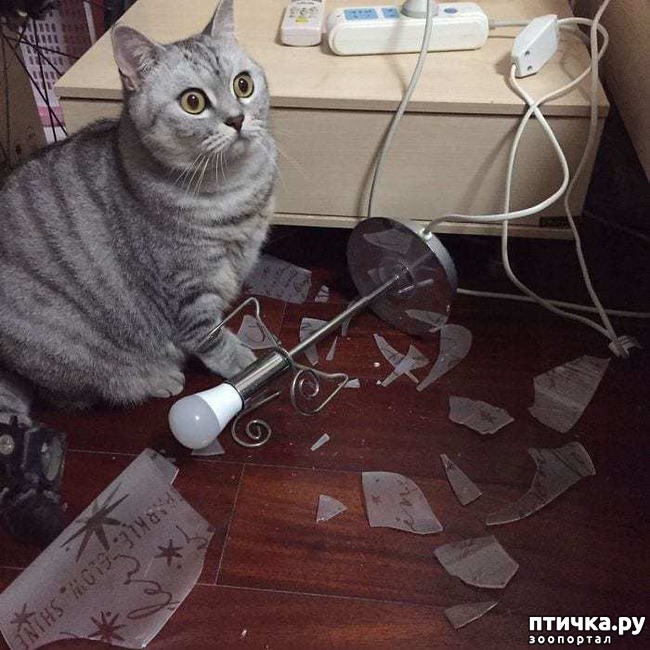 ���� 10: ������ ���� ����� ����������!