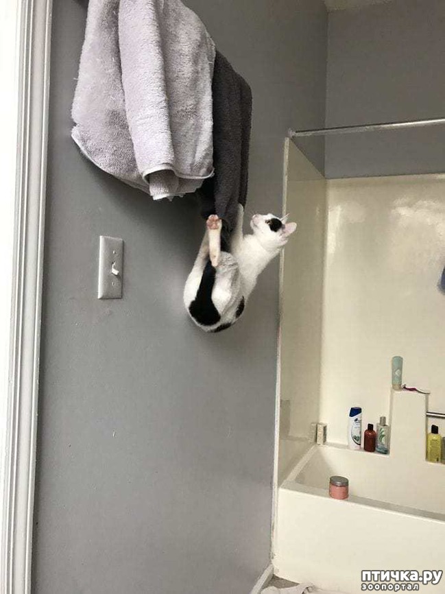 ���� 11: ������ ���� ����� ����������!