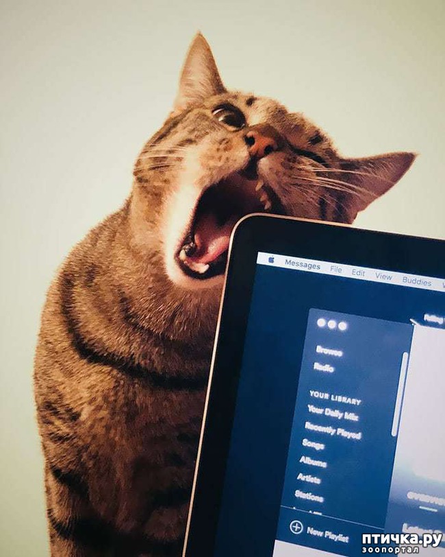 ���� 14: ������ ���� ����� ����������!