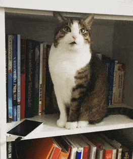 ���� 16: ������ ���� ����� ����������!