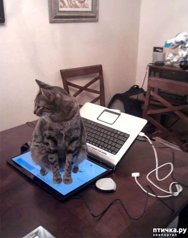 ���� 19: ������ ���� ����� ����������!