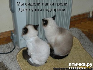 ����: �����������: ������ ����-2!