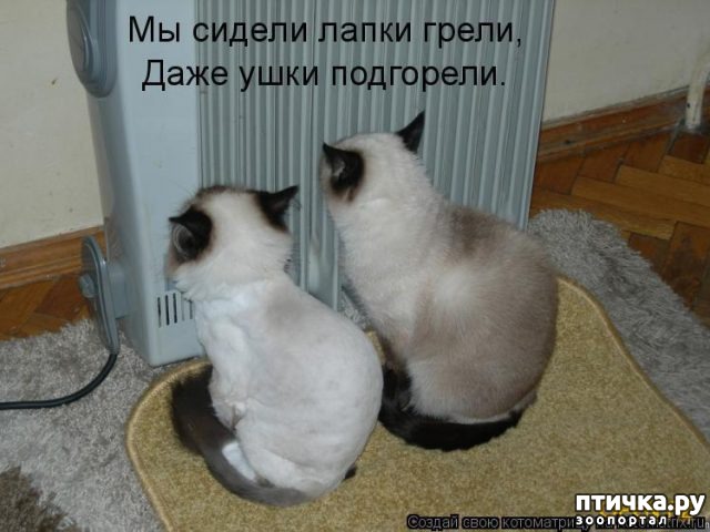 ���� 1: �����������: ������ ����-2!