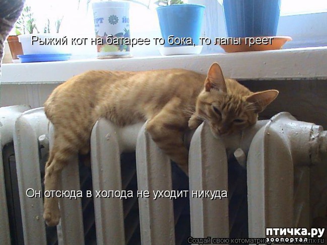 ���� 2: �����������: ������ ����-2!