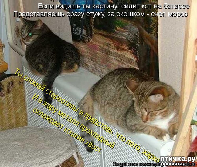 ���� 3: �����������: ������ ����-2!