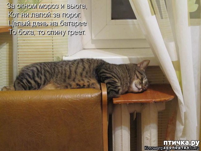 ���� 4: �����������: ������ ����-2!