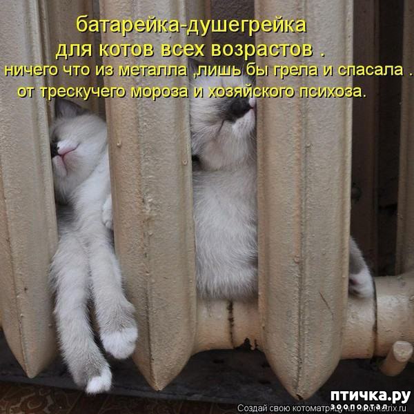 ���� 5: �����������: ������ ����-2!