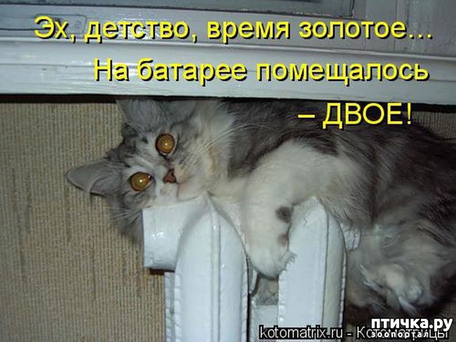 ���� 7: �����������: ������ ����-2!