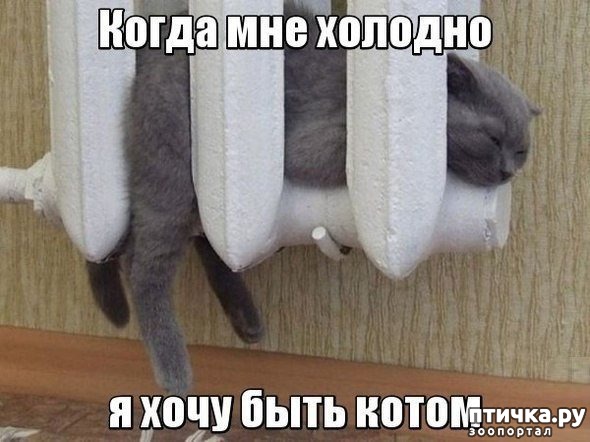 ���� 8: �����������: ������ ����-2!