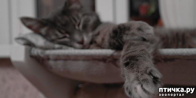 ���� 9: �����������: ������ ����-2!