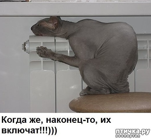 ���� 11: �����������: ������ ����-2!