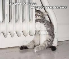 ���� 12: �����������: ������ ����-2!