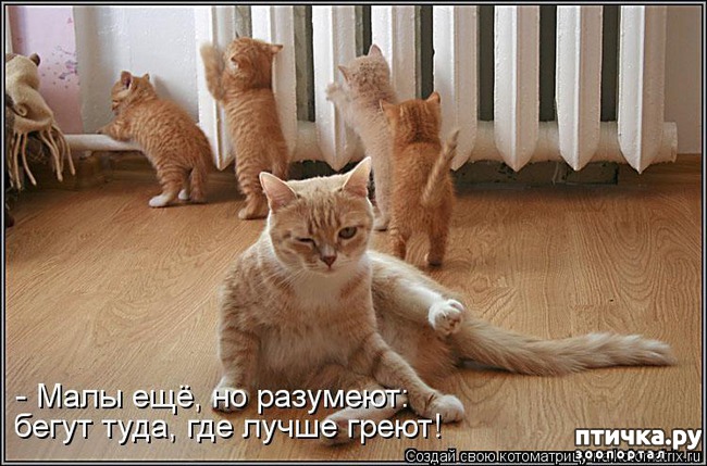 ���� 13: �����������: ������ ����-2!