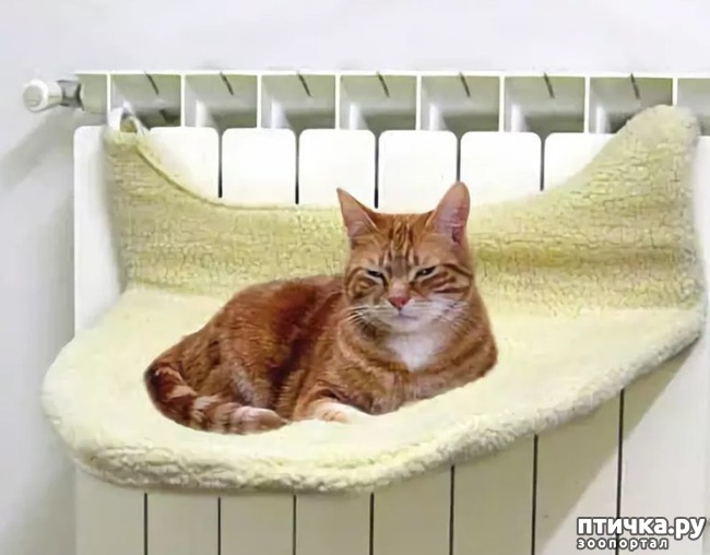 ���� 14: �����������: ������ ����-2!