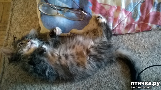 ���� 2: ����� � ����. ����� 5.