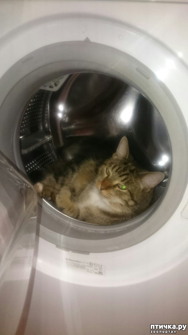 ���� 22: ������ ���� ����� ����������!