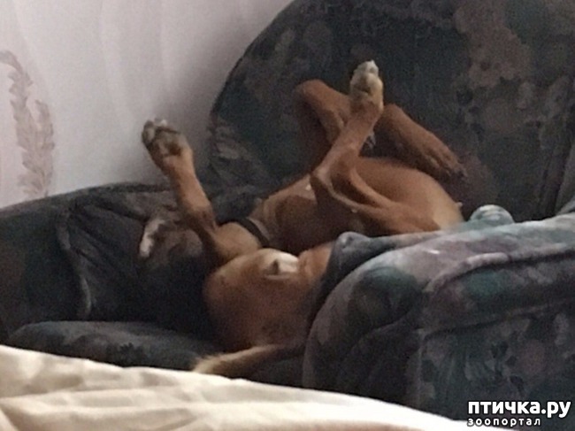 ���� 23: ������ ���� ����� ����������!