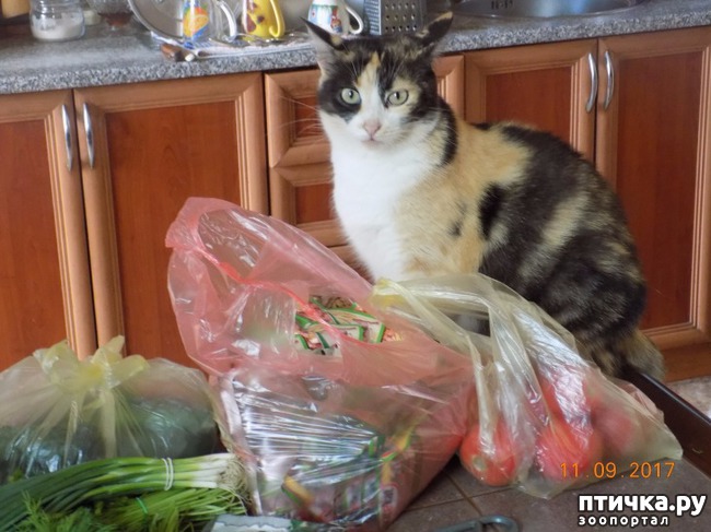 ���� 25: ������ ���� ����� ����������!