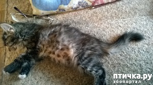 ����: ����� � ����. ����� 5.