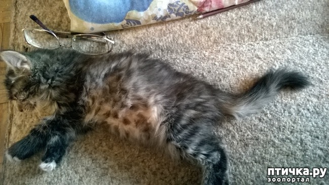 ���� 1: ����� � ����. ����� 5.