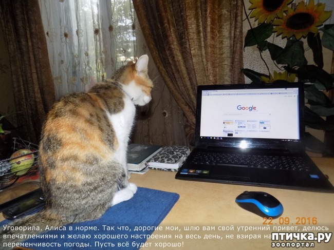 ���� 26: ������ ���� ����� ����������!