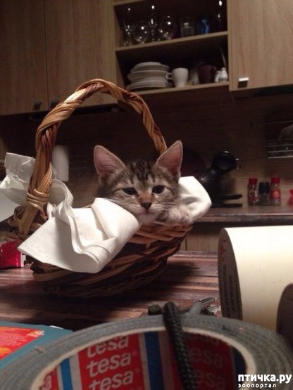 ���� 29: ������ ���� ����� ����������!